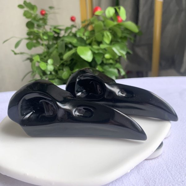 Obsidian Raven Skull Crystal Crow Skull Carving 3.8inch