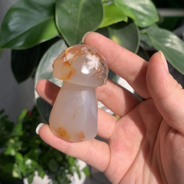 Flower Agate Mushroom Carving