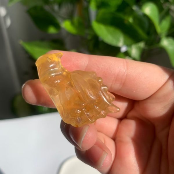 Mini Fluorite Dragon Head Yellow Fluorite Animal Carving