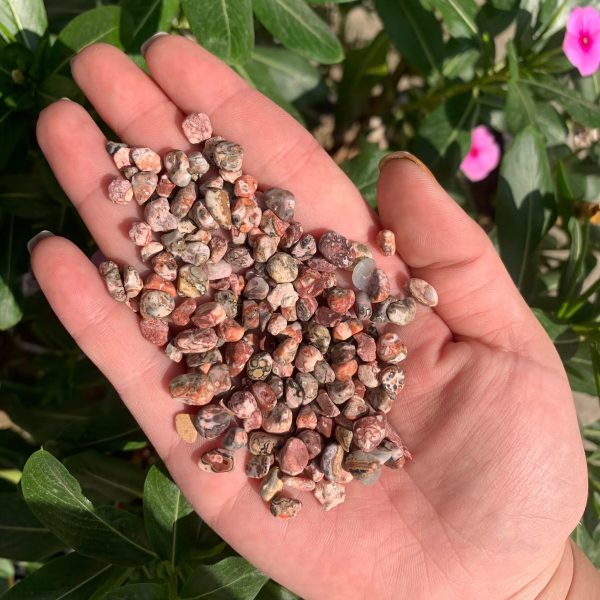 Leopard Skin Jasper Chips Crystal Chips Wholesale