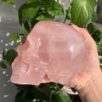 Rose Quartz Skull 1 Crystal Skull Carving