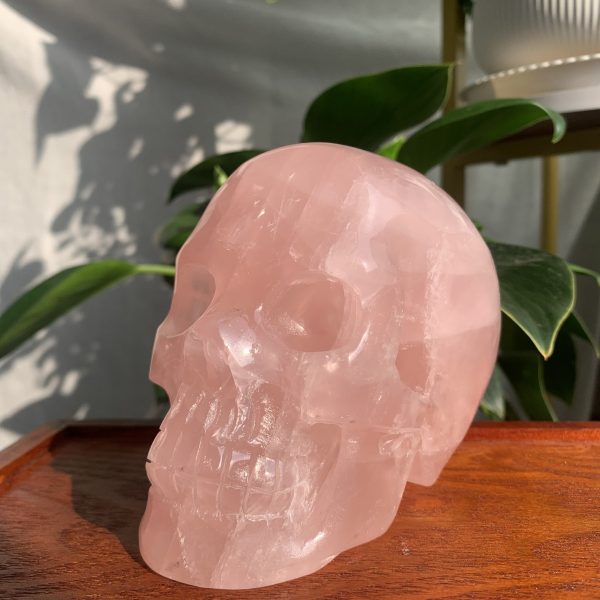 Rose Quartz Skull 1 Crystal Skull Carving