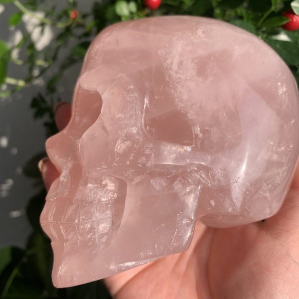 Rose Quartz Skull 1 Crystal Skull Carving