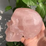 Rose Quartz Skull 1 Crystal Skull Carving