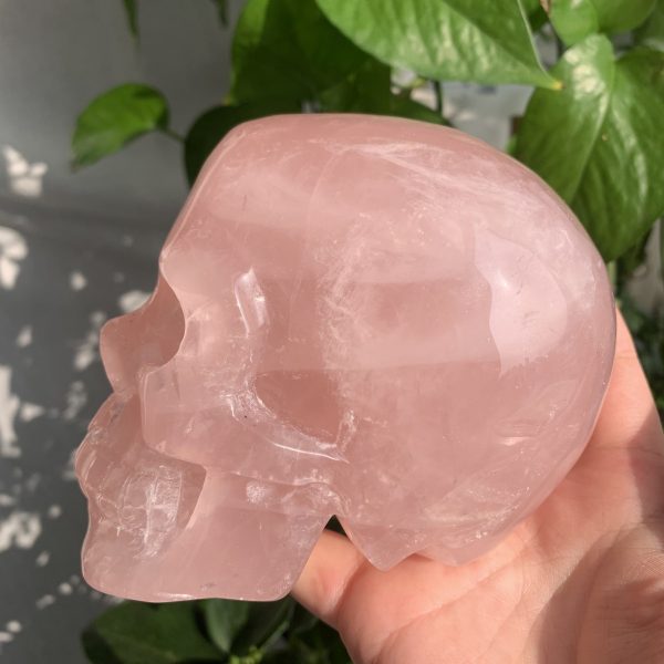 Rose Quartz Skull 1 Crystal Skull Carving