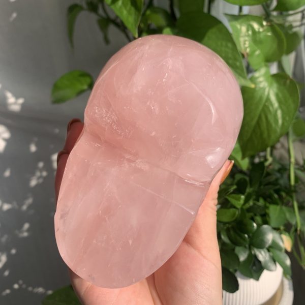 Rose Quartz Skull 1 Crystal Skull Carving