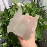 Big Selenite Dragon Head Carving Crystal Dragon Animal Carving