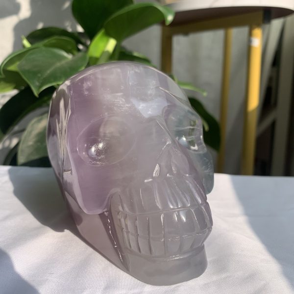 yttrium fluorite skull (9)