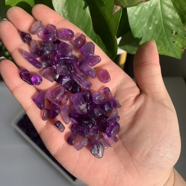 Amethyst Gravel Good Amethyst 7-9mm Crystal Chips Free Shipping