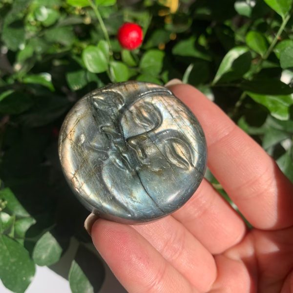 Flashy Labradorite Carvings Sun Moon Flower Coffin Ganesha Grime Free Shipping