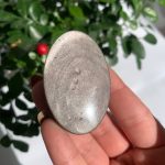 Silver Sheen Obsidian Palm Stone Crystal Palms Wholesale Free Shipping