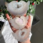 Druzy Agate Winged Heart On Stand Crystal Heart Wings Free Shipping