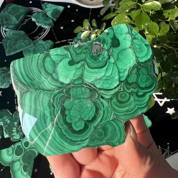 Polished Malachite Slab Crystal Slice Free Shipping