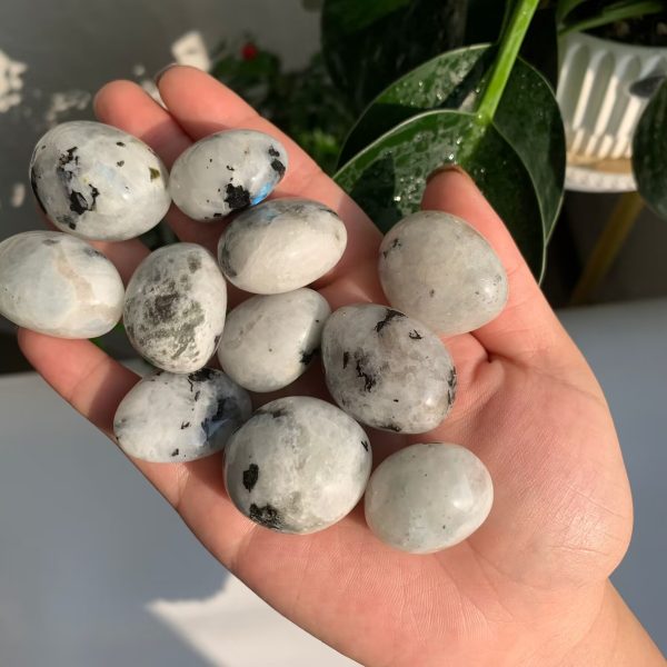 rainbow moonstone tumbled stone (4)