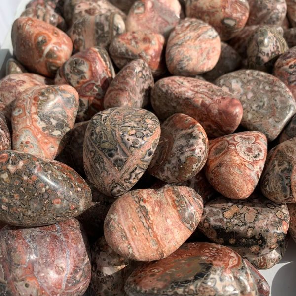 leopard skin jasper tumbled stone 30-40mm (7)