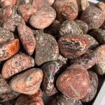 Leopard Skin Jasper Tumbled Stone 30-40mm Crystal Free Shipping