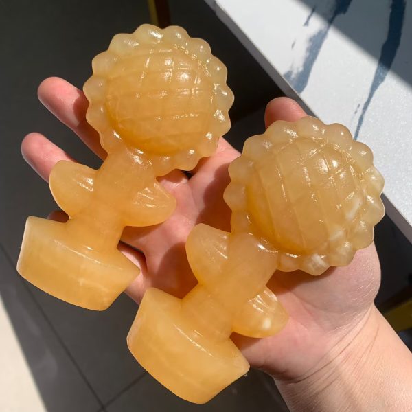115mm orange calcite sunflower in poy (6)