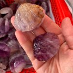 Crystal Seashell Purple Fluorite Shell Carving 2inch Free Shipping