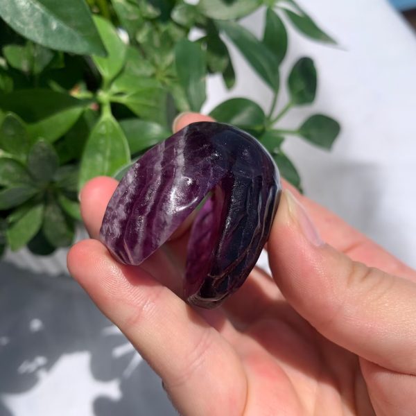 Crystal Seashell Purple Fluorite Shell Carving 2inch Free Shipping