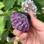 Crystal Seashell Purple Fluorite Shell Carving 2inch Free Shipping