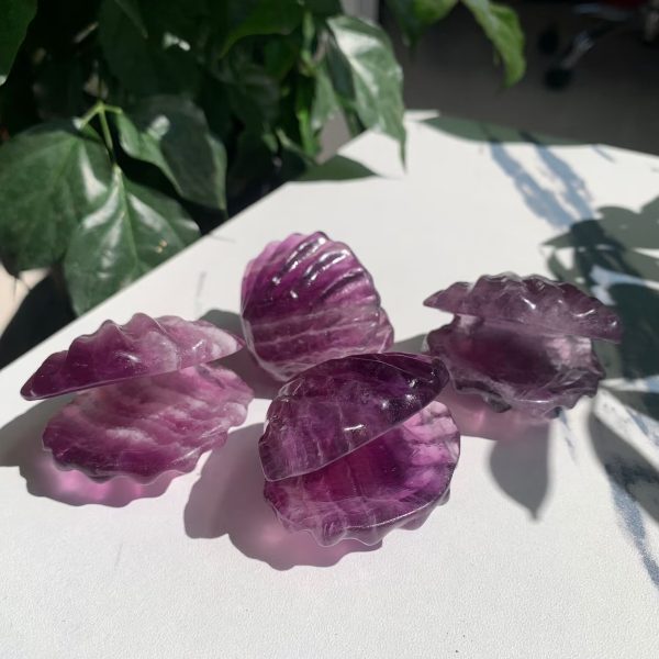Crystal Seashell Purple Fluorite Shell Carving 2inch Free Shipping
