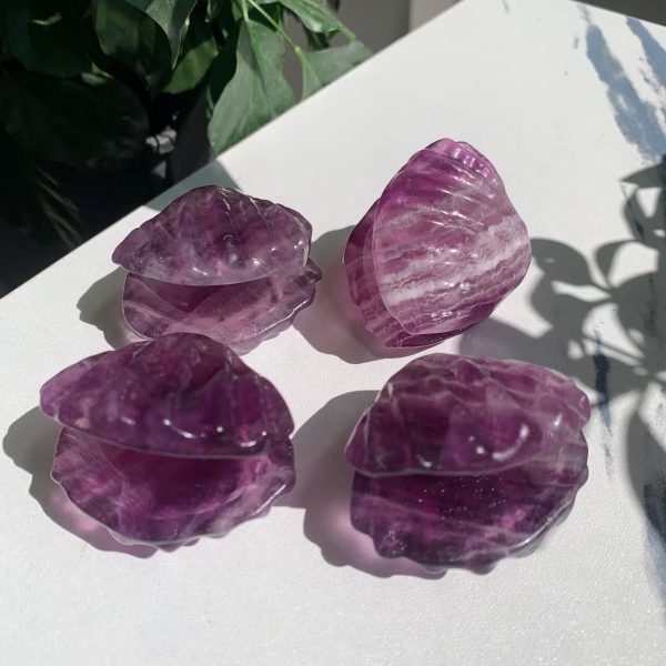 Crystal Seashell Purple Fluorite Shell Carving 2inch Free Shipping