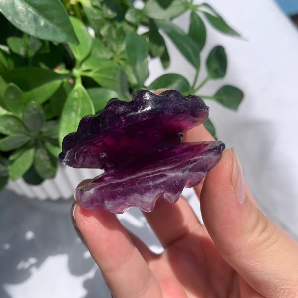 Crystal Seashell Purple Fluorite Shell Carving 2inch Free Shipping