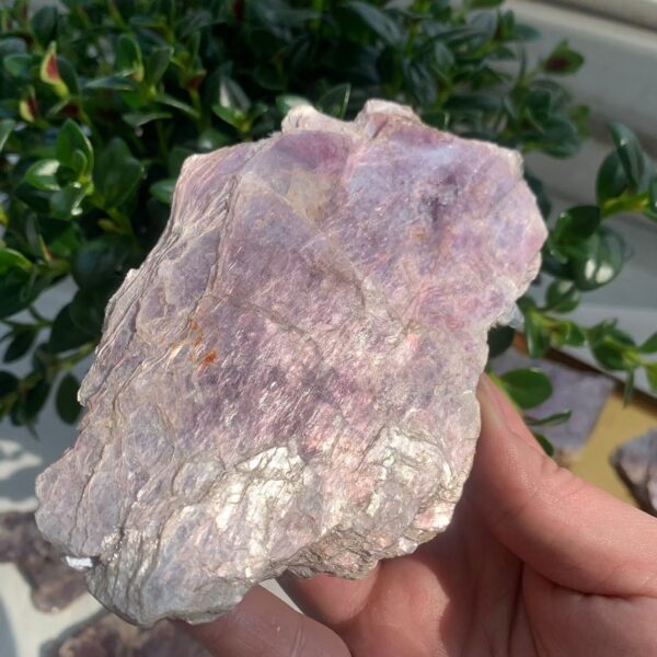Raw Purple Mica Lepidolite Rough Stone Crystal Wholesale Free Shipping