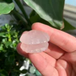 Mini Crystal Shell Wholesale 1.1inch Mini Quartz Shells for Home Decor Free Shipping