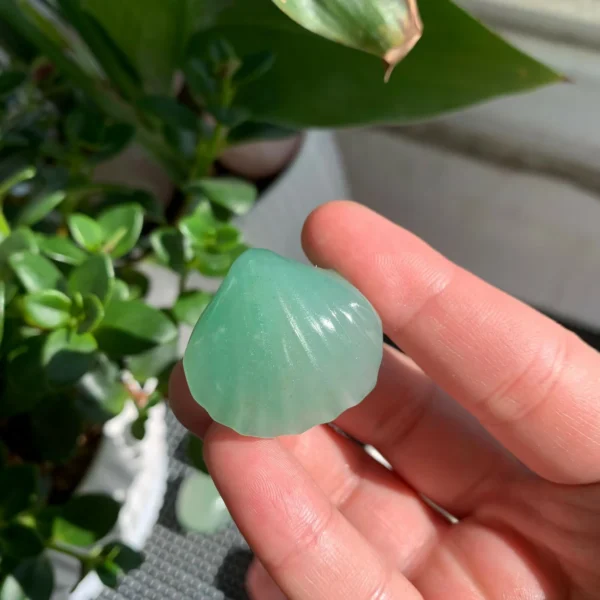 Mini Crystal Shell Wholesale 1.1inch Mini Quartz Shells for Home Decor Free Shipping