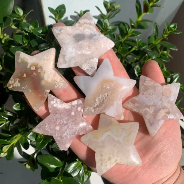 Flower Agate Star (4)