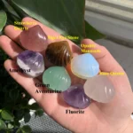 Mini Crystal Shell Wholesale 1.1inch Mini Quartz Shells for Home Decor Free Shipping
