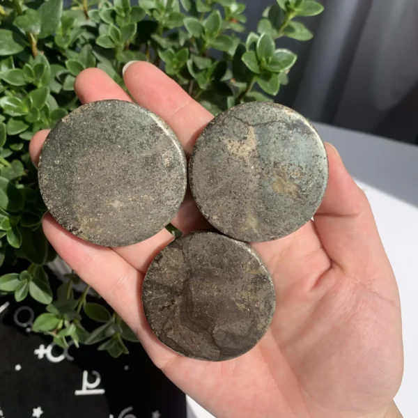 Pyrite Bitcoin Carving – Natural Fool’s Gold Physical Crypto Coin – Crystal Wholesale Free Shipping