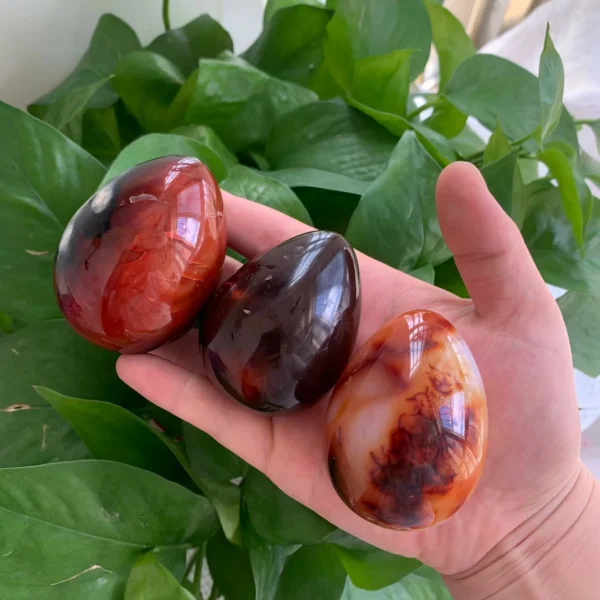 Carnelian Egg Natural Sacral Chakra Stone for Creativity Fertility & Vitality