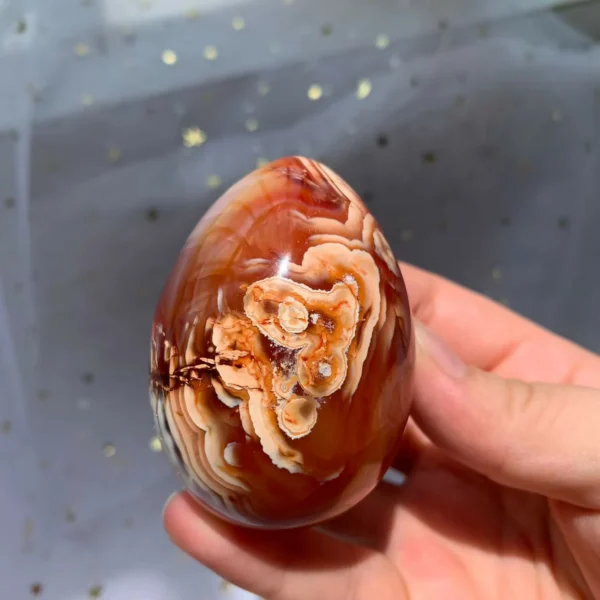 Carnelian Egg Natural Sacral Chakra Stone for Creativity Fertility & Vitality