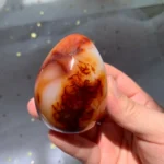 Carnelian Egg Natural Sacral Chakra Stone for Creativity Fertility & Vitality