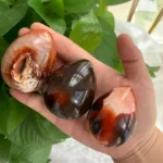 Carnelian Egg Natural Sacral Chakra Stone for Creativity Fertility & Vitality