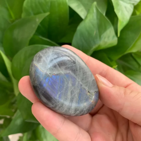 Labradorite Palm Stone Healing Crystal Blue Flash Labradorite Palm Stone Wholesale