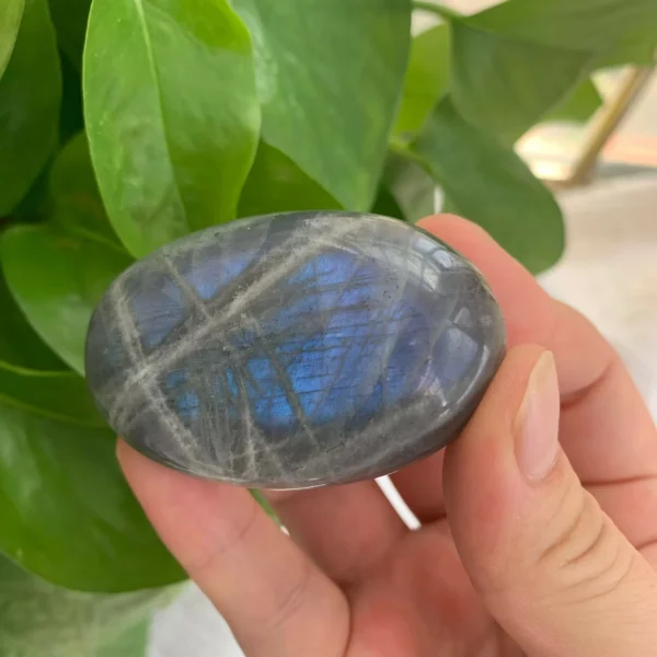 Labradorite Palm Stone Healing Crystal Blue Flash Labradorite Palm Stone Wholesale