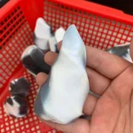 Orca Agate Flame Black and White Agate Flame Sculpture Wholesale