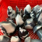 Orca Agate Flame Black and White Agate Flame Sculpture Wholesale