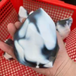 Orca Agate Flame Black and White Agate Flame Sculpture Wholesale