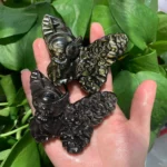 Crystal Butterfly Slab With Angel Carving Sheen Obsidian Butterfly Healing Crystal Butterfly