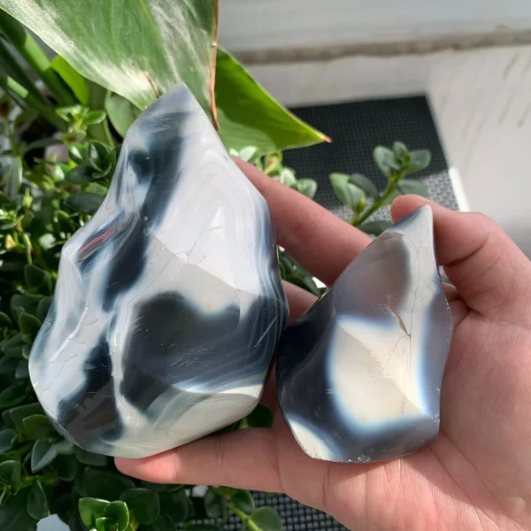 orca agate flame carving (3)