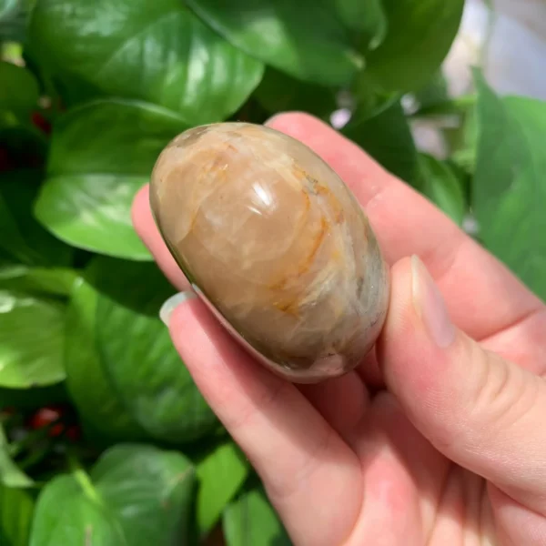 Peach Moonstone Palm Stone Healing Flashy Peach Moonstone Pocket Stone Wholesale Crystal Palms
