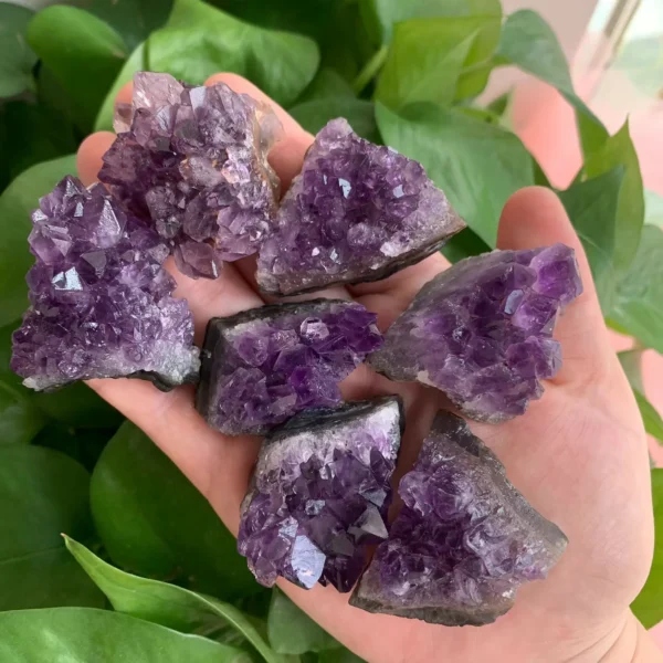 Amethyst Cluster (5)~1