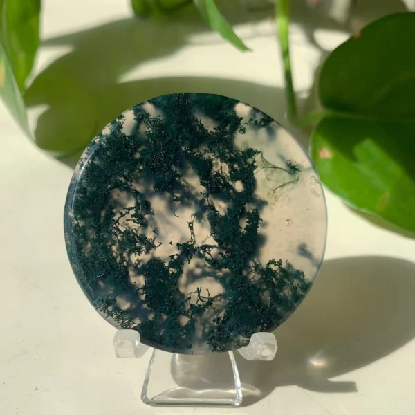 Round Moss Agate Disc (2)