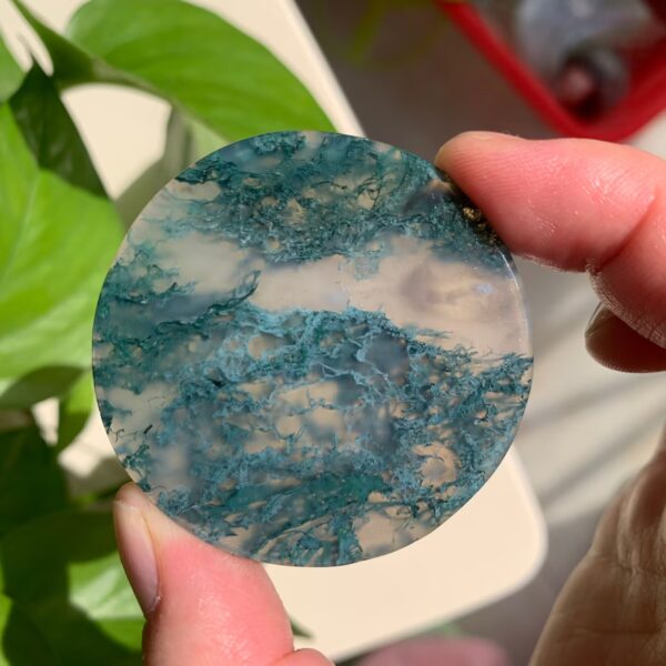 Round Moss Agate Disc Free Shipping Crystal Wholesale China
