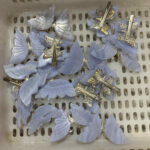 Crystal Butterfly Hair Clip Mixed 3Pieces Healing Stone Hair Accessory & Gift Free Shipping