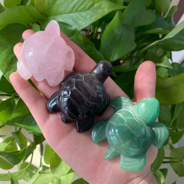 Crystal Sea Turtle(1)